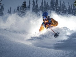 M88官方手机APP的简单介绍