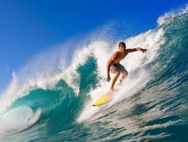 贝博网站是什么