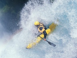 ayx游戏官网在线登录
